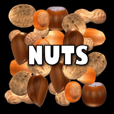 Funny Nut GIFs